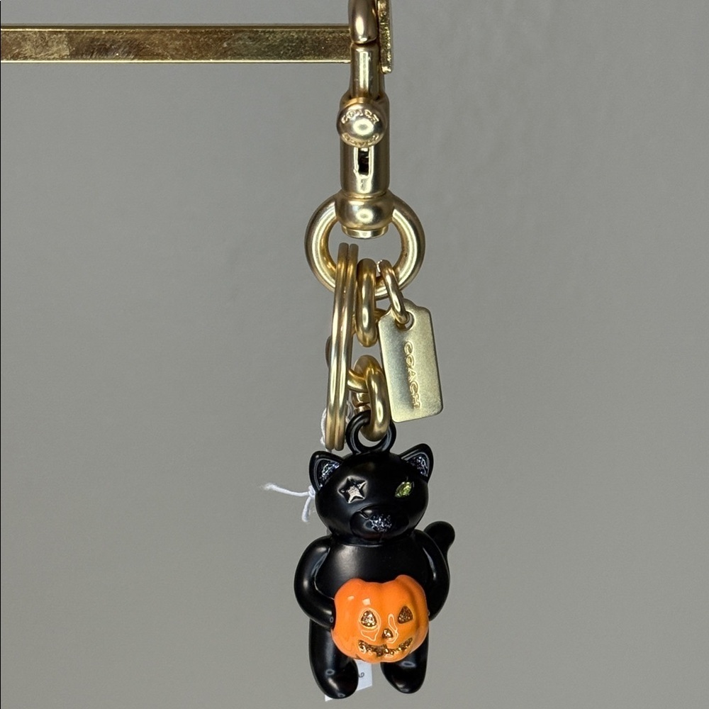 Coach Halloween Black Cat Pumpkin Bag Charm / Keychain – NWT, Retired & Sold Out - Picture 2 of 5